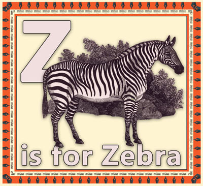 Alphabet flashcard Z is for Zebra