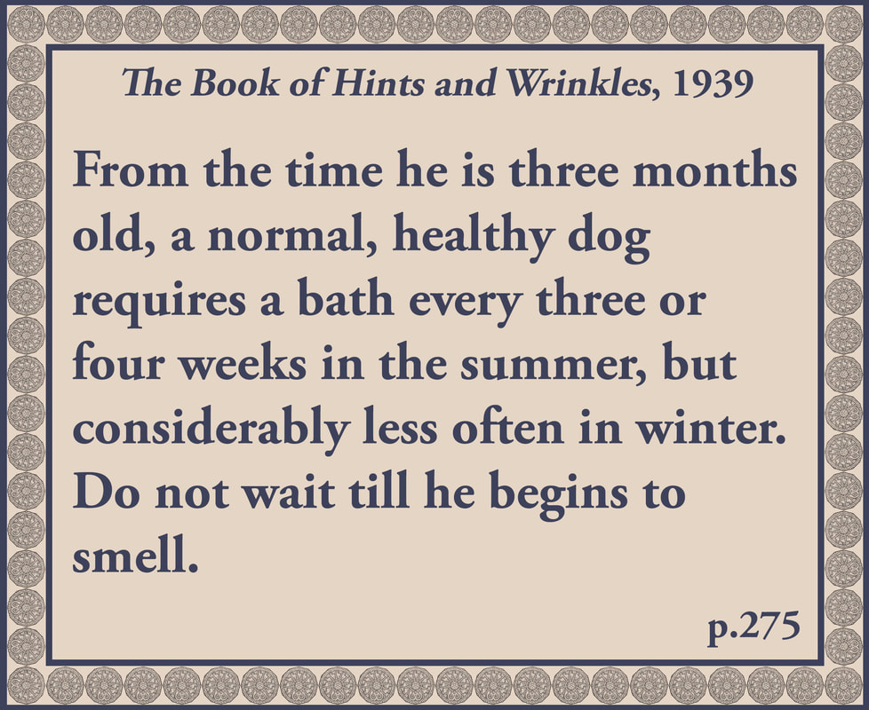 The Book of Hints and Wrinkles advice on smelly dogs